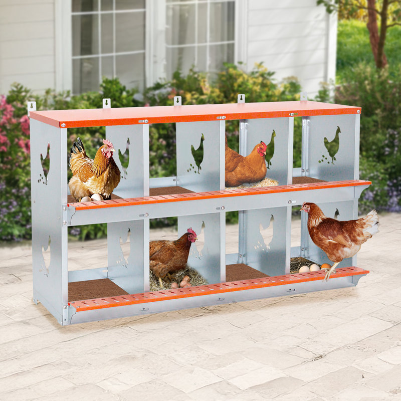 Boîte de nidification en métal à 8 baies pour poules / canards, fixation murale, acier galvanisé, collection Easy Egg