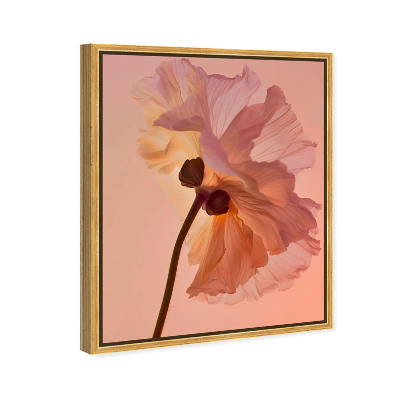 Amber Radiance III Print by Oliver Gal, 37"H x 46"W, Gold Floater Frame