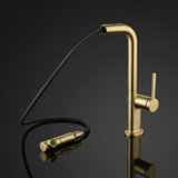 Destro Pull Out Single Handle Kitchen Faucet