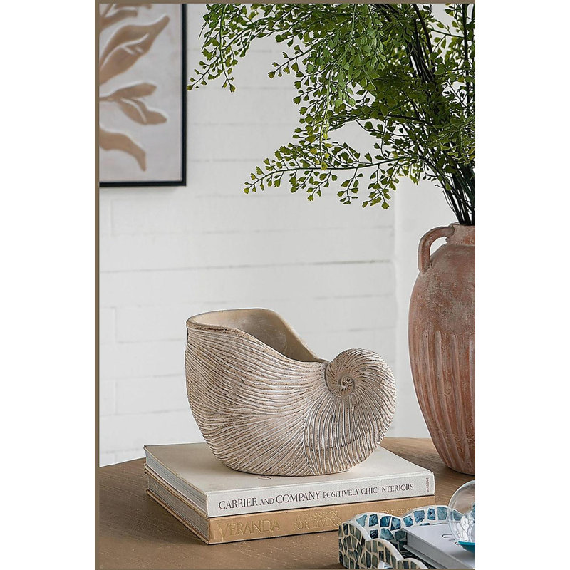 8.5x5.5x6.3" Sand and Cement Nautilus Shell Planter with Textured Beige Finish