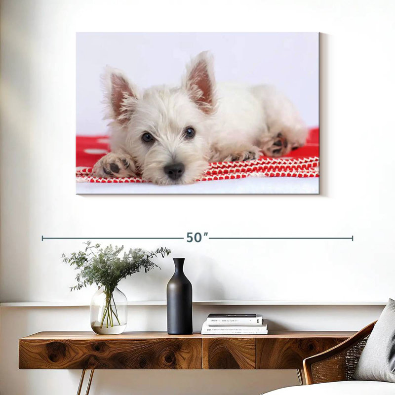 Brampt Blanco I, 26" H x 39" W