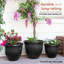 Ensemble de 3 pots à fleurs-1529502407