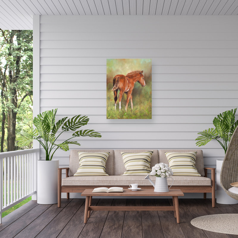 Toile d'extérieur David Stribble Foal In Sunshine, H 14 po x l 19 po