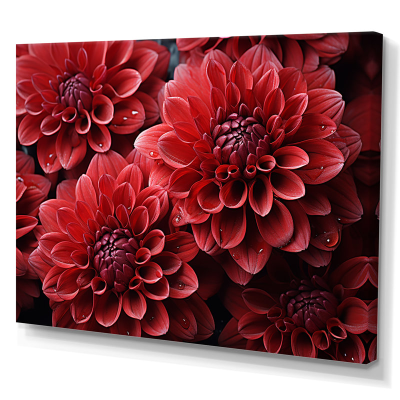 «Crimson Mums Elegance Blooms» - art mural sur toile Mums, Toile tendue, H 24 po x l 32 po x P 1 po