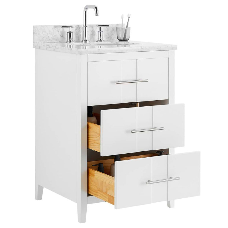 Iconic 24" Freestanding Standard Single Bathroom Vanity with Top, White, Silver