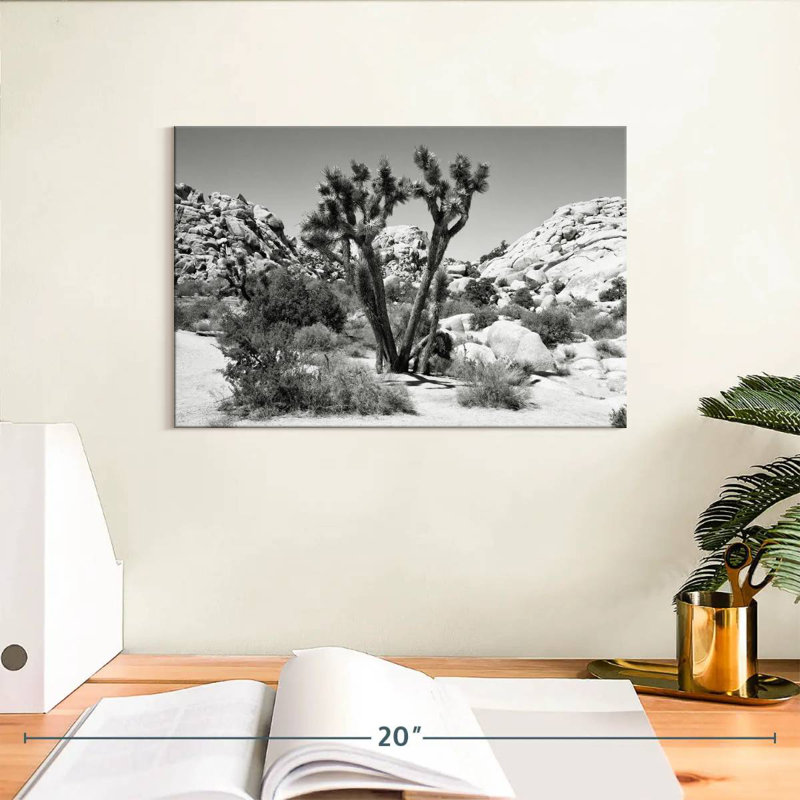 Arizona noir - Joshua Tree II, H 8 po x l 12 po
