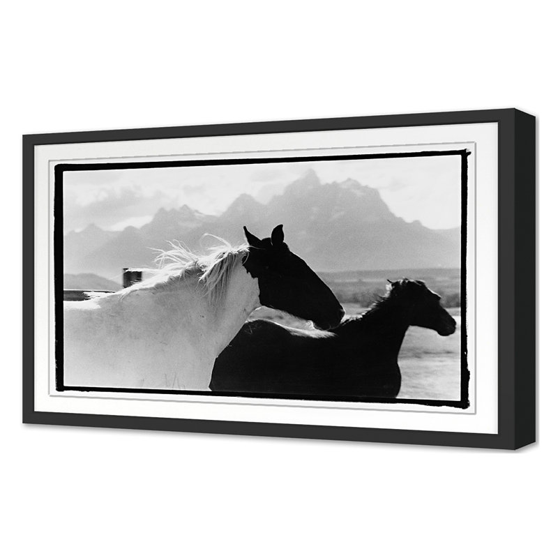 Letting Go Print by Raab, Amy, Black Single Picture Framed, 20'' H x 30'' W