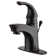 Nita Vantage Collection Centerset Single Bathroom Faucet with Drain Assembly