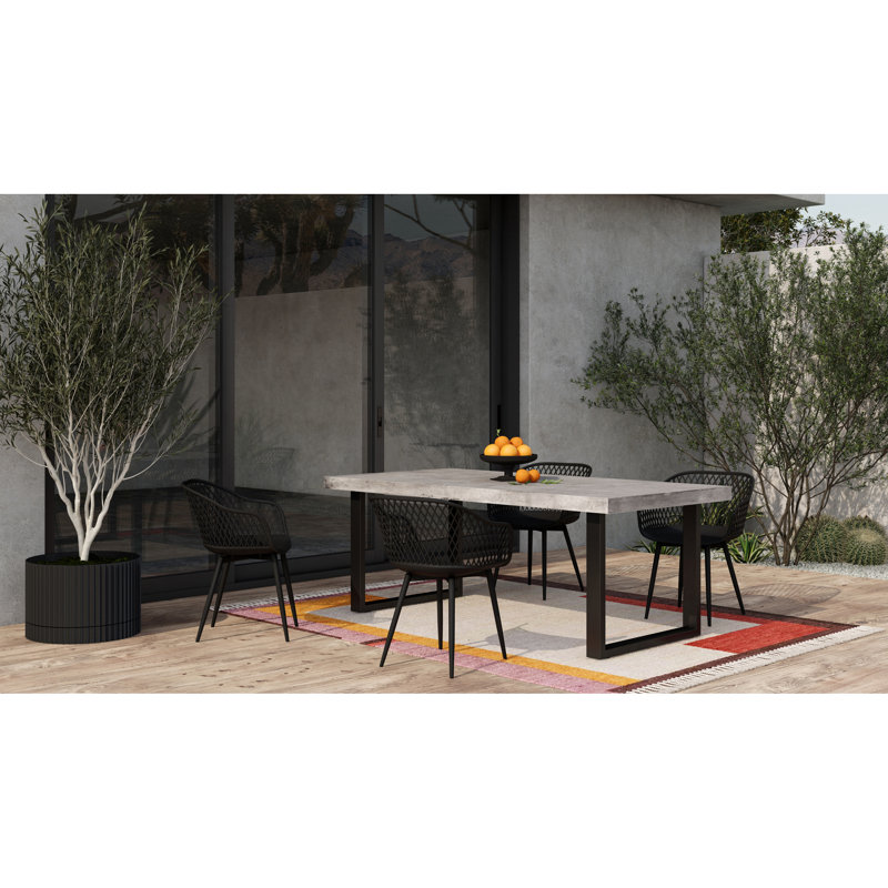 Black Powder Coated Steel and Resin Dining Chairs, Set of 2