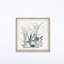 Clear Glass Plants II - Single Picture Frame Painting-40568436