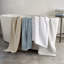 Débarbouillette 100% coton Ludlow-49822521