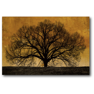 " Oak Tree "