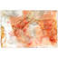 Coral Lace 2 - peinture sur verre sans cadre-1531026661
