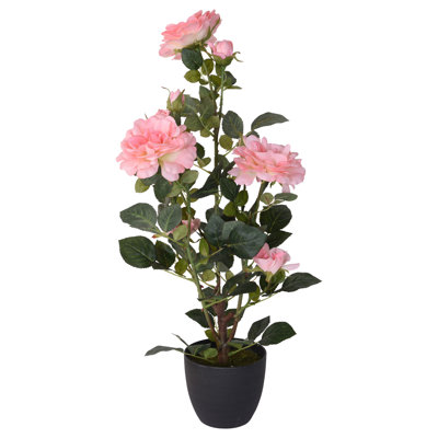 Arrangement