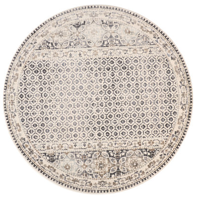 Chander Oriental Charcoal/Ivory Area Rug