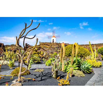 Tropical Cactus Garden - Wrapped Canvas Print