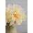 Almost Real 14" Peony, 4 Pack