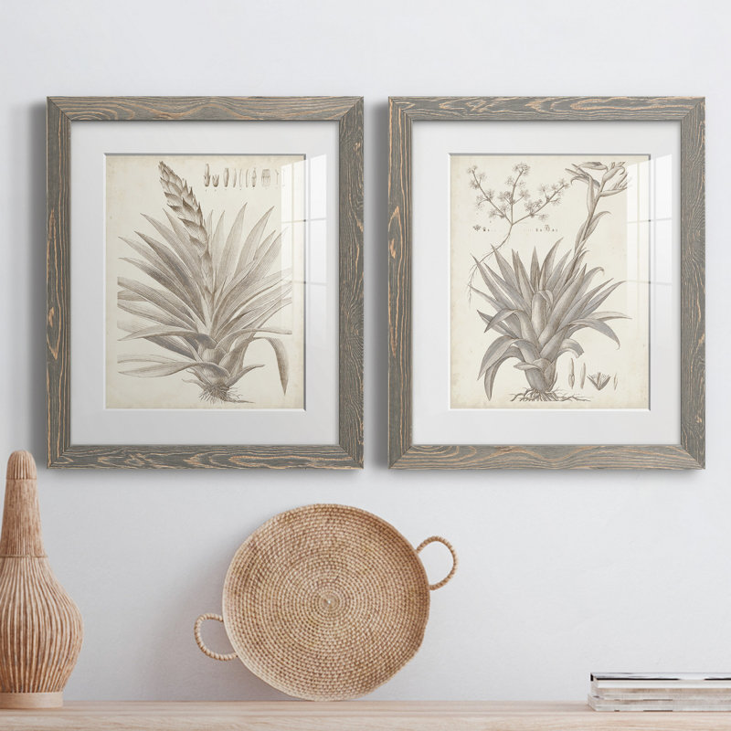 Sépia plantes exotiques III - ensemble de 2 reproductions d'art sur papier encadré, H 24 po x l 36 po x P 1,5 po