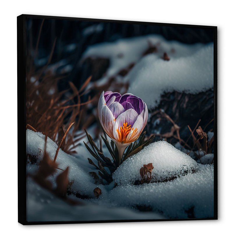 Une fleur de crocus en fleurs III - Photographie sur toile, H 16 po x l 16 po x P 1 po, Toile avec cadre flottant noir
