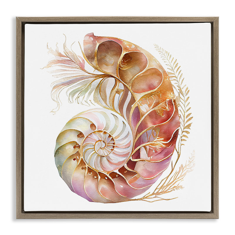 «Curled Nautilus» par Birch & Ink, H 18 po x l 18 po, Cadre flottant orme Montalcino