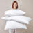 Dacron Down Alternative Bed Pillow-126677577-45199490