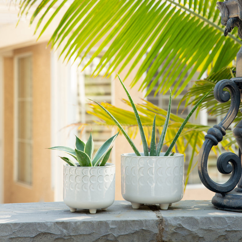 Escarlett Handmade Ceramic Pot Planter, Ivory
