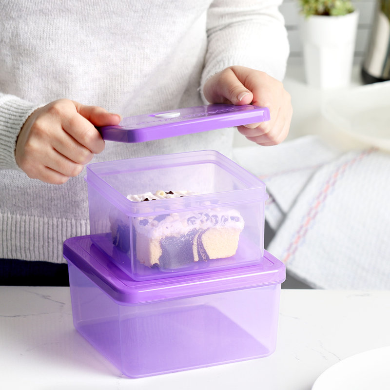 Food Storage Container, Purple