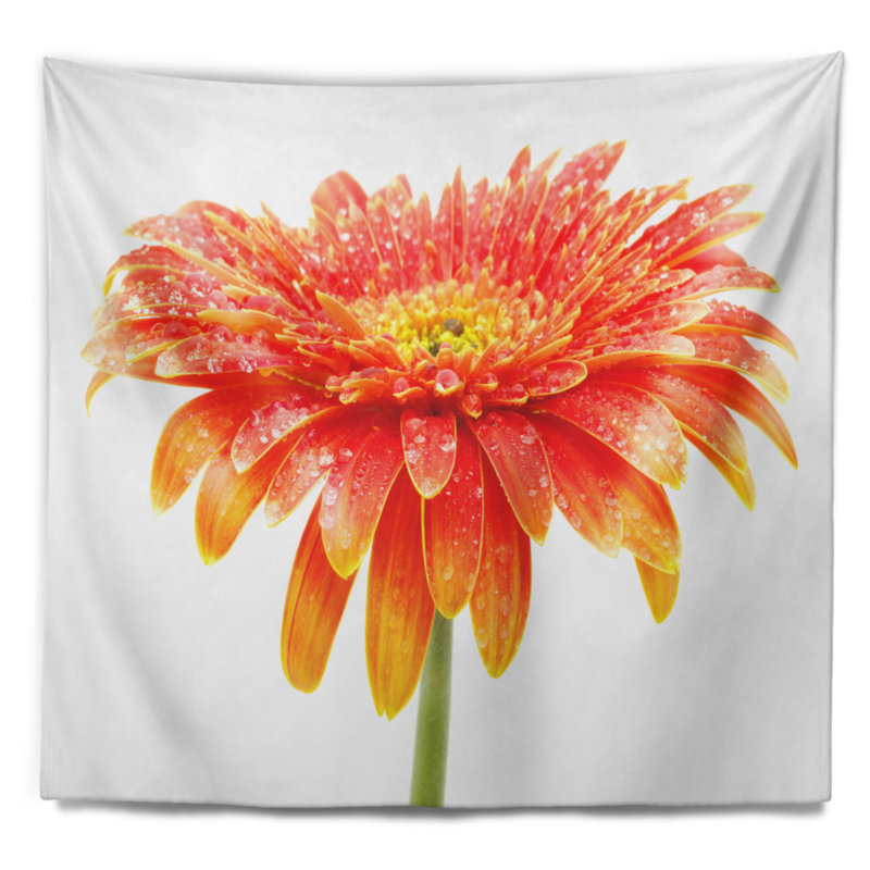 Grand gerbera orange sur tapisserie blanc floral, H 32 po x l 39 po