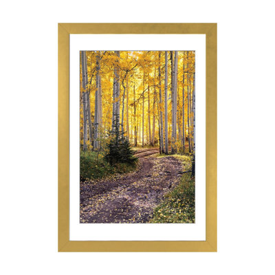 Autumn Aspen Forest Road - Colorado Fall Colors - Reproduction d'art mural - Papier d'art encadré
