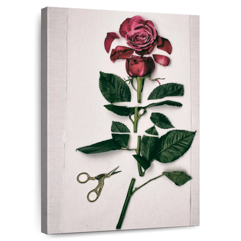 Florist's Rose, 39" H x 26" W