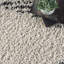Tapis blanc cassé / gris anthracite à poils longs pour salon, chambre à coucher, salle à manger-1074823285
