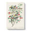 Collection of Warbler Birds by John James Audubon - Wrapped Canvas-55371578