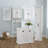 Arjae Linen Cabinet-1698930694
