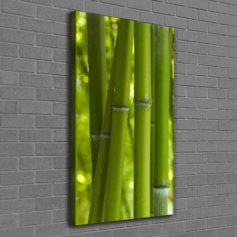 Bamboo Forest - Wrapped Canvas Print