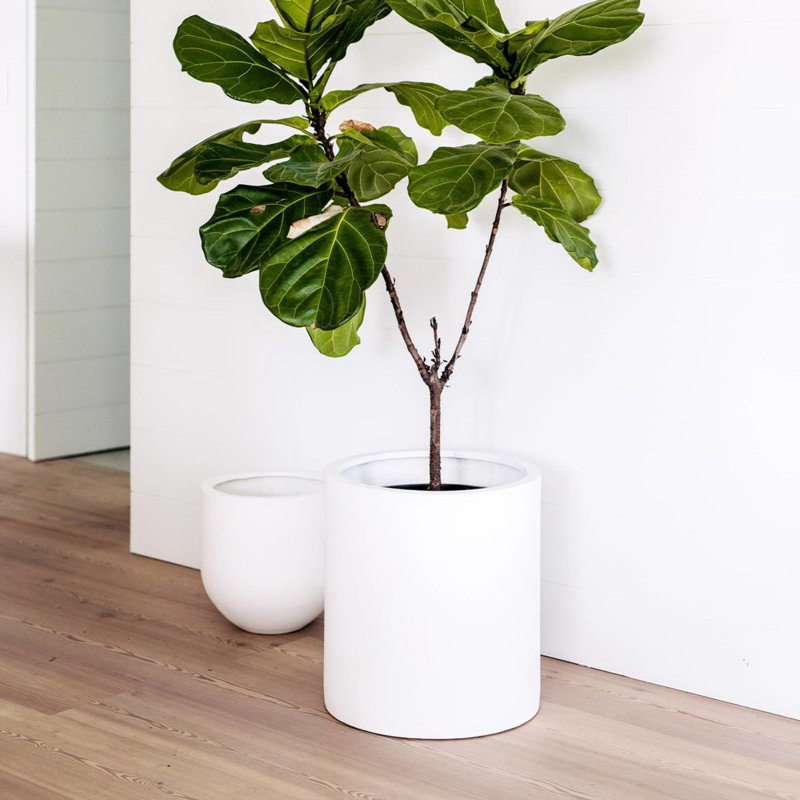 Pot à fleurs Paes, H 16 po x l 16 po x P 16 po