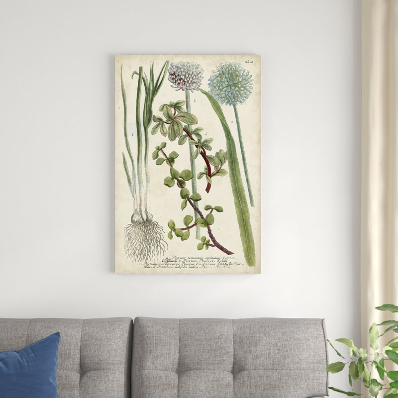 " Allium " by Weinmann Painting Print, 36" H x 24" W x 1.25" D