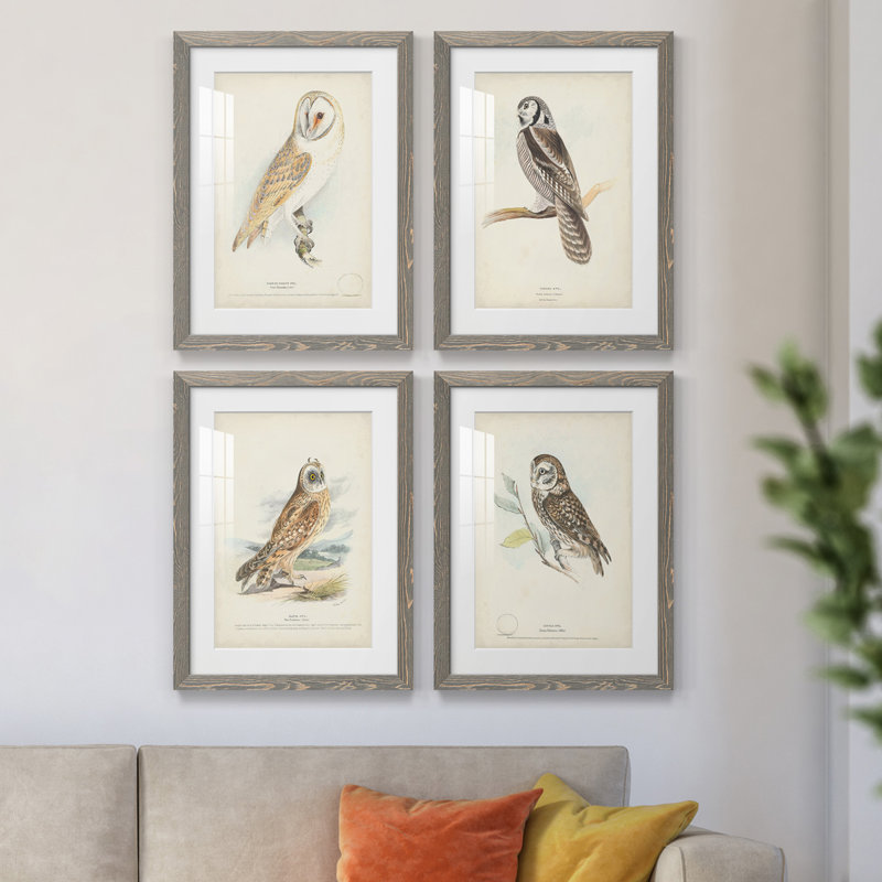 Barn Owl - ensemble de 4 reproductions de cadres photo, H 43,5 po x l 31,5 po x P 1 po, gris