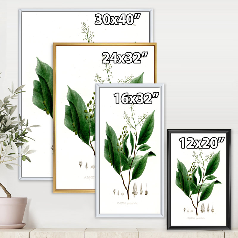 Plante brésilienne rétro II - peinture sur toile, H 32 po x l 16 po x P 1 po, Cadre flottant noir