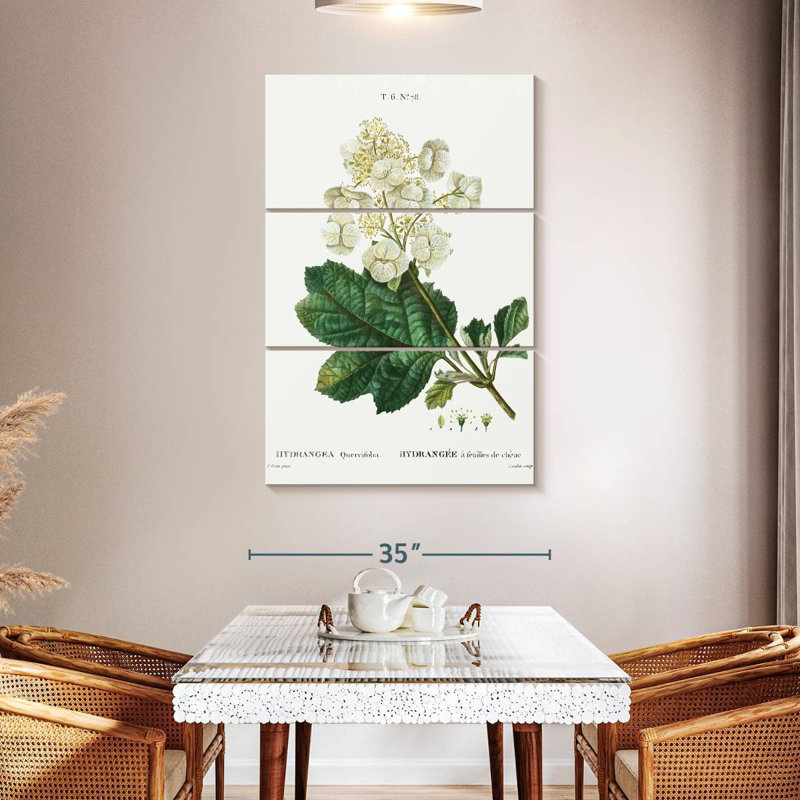 Keiri Oakleaf Hydrangea, 65" H x 42" W