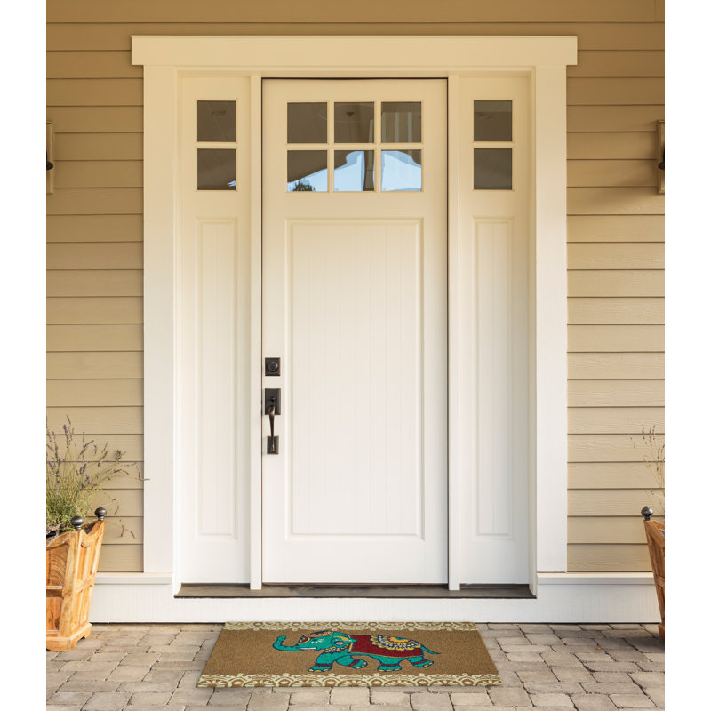 Non-Slip Outdoor Doormat