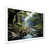 White Single Picture Framed