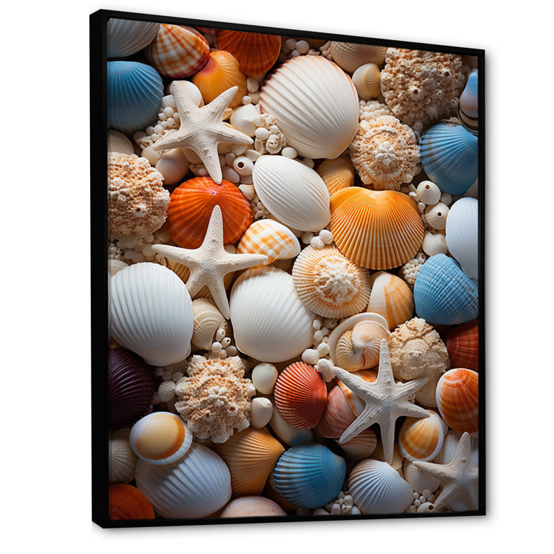 «Beach Photo Seashell Symphony VI», reproductions sur toile d'animaux, H 32 po x l 24 po x P 1 po, Cadre flottant noir