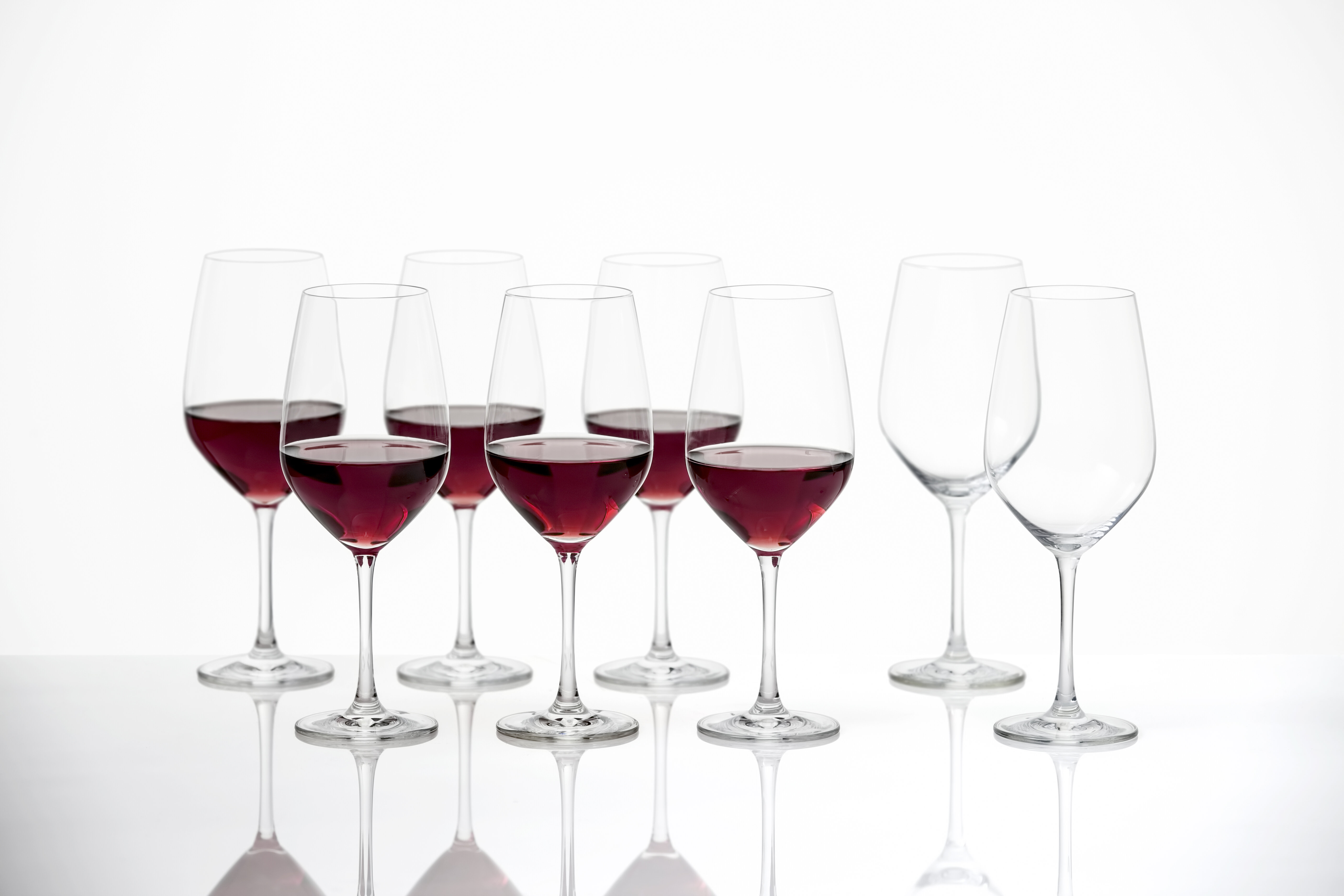 Schott Zwiesel Tritan Forte Universal Wine Glasses (Set of 8