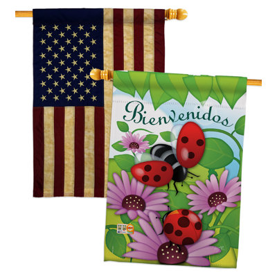 Drapeaux 40 x 28 pi