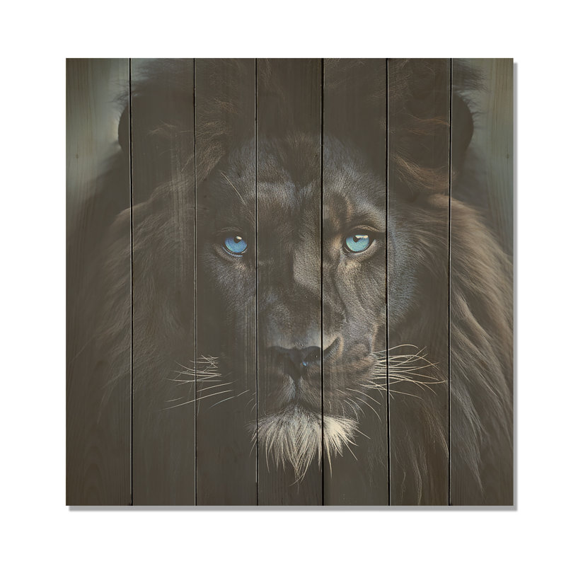 Lion de minuit noir et bleu - Animal lion sur bois, H 15 po x l 15 po