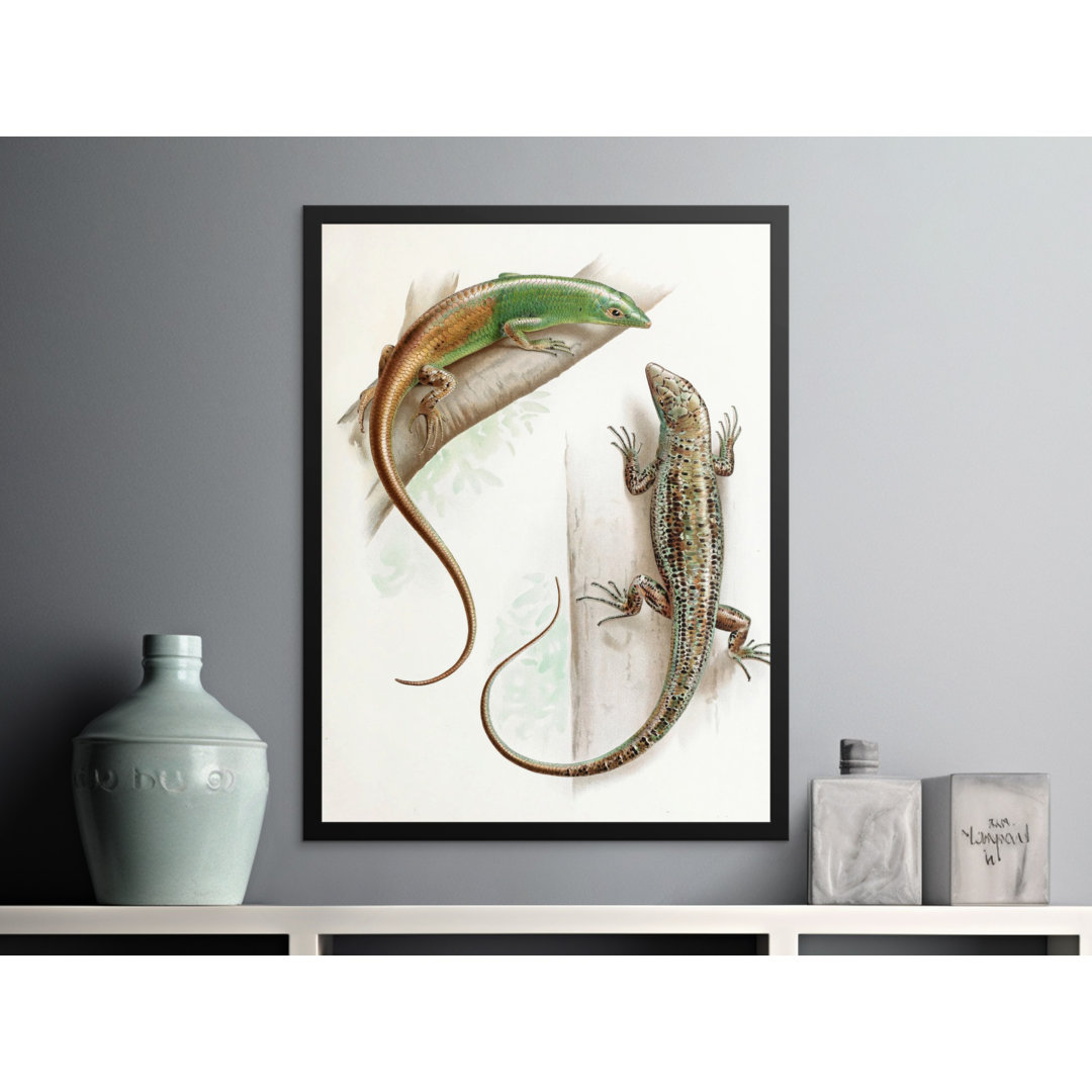 No Frame Print