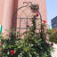 Ensemble de 2 treillis de jardin en métal Charlyn-238430634-253276860