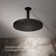 Awaken 10" Single-Function Wall or Ceiling-Mount Round Rainhead