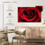 Gouttelettes sur une rose rouge-858553173