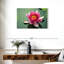 Harnek Japanese Pond Lotus-107867612
